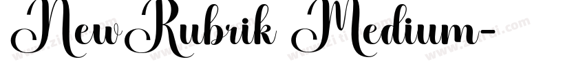 NewRubrik Medium字体转换